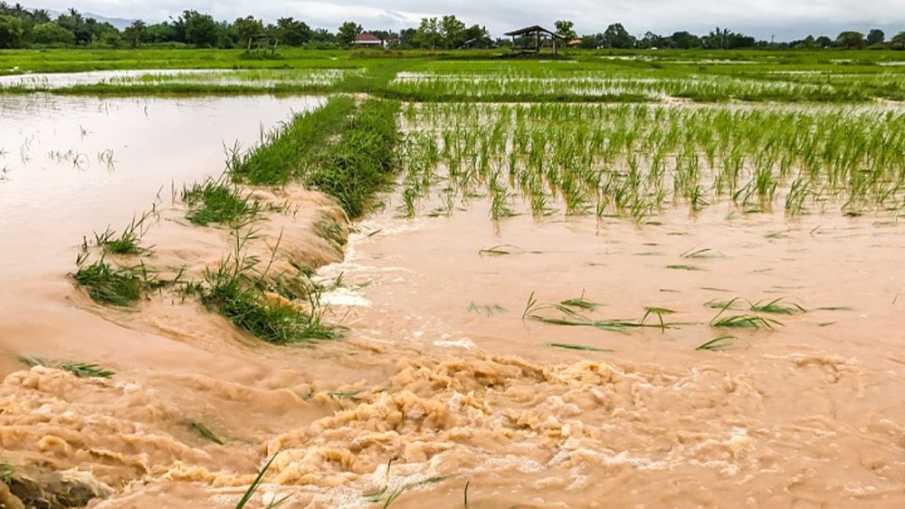 �������� ���������� ��� ������ ���, ������� ������ ��������� ����������