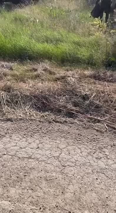 ����������� ���� ������������ � ������, �� ����� �� �������� �� ����������