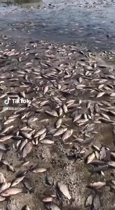 ���������������� ������� � ��-�� ������� ������, ���������� ������� �� ��������� ���, �� ����� ��������� ��������� ��� ����� ����