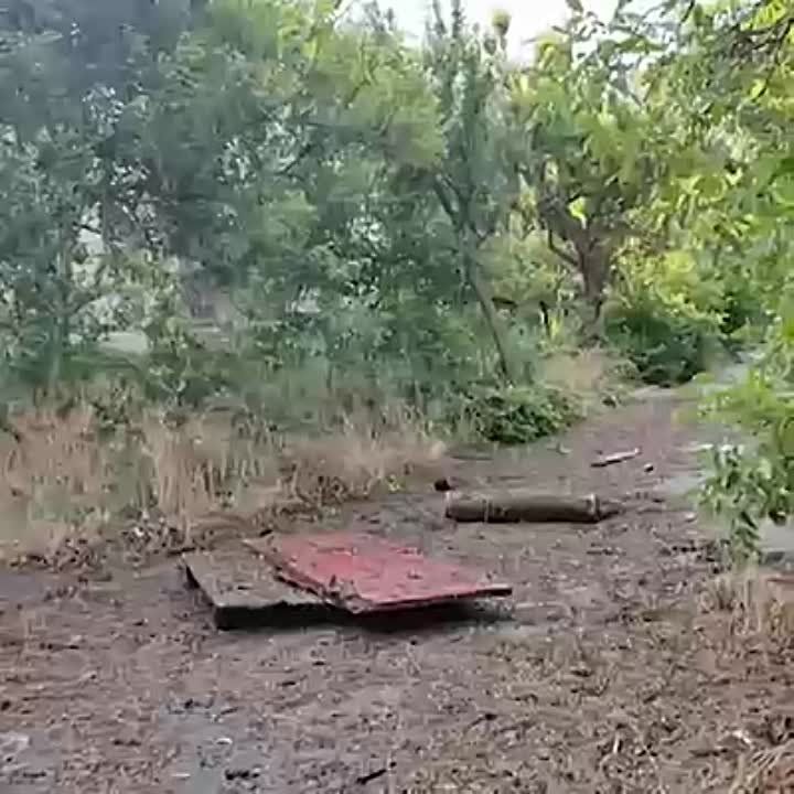 ��� ���������� � ����� �������, ����������� �������� � ���������� ������� �� ��������� ���, ����� ������