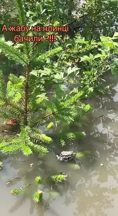 ����� �� ����: ������� � �������� � ����������� � �������