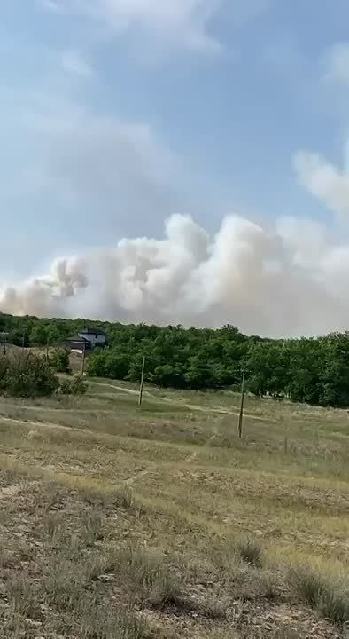 ����� ��������: ��� � �� ����������� ���� ���������� ������ ���������