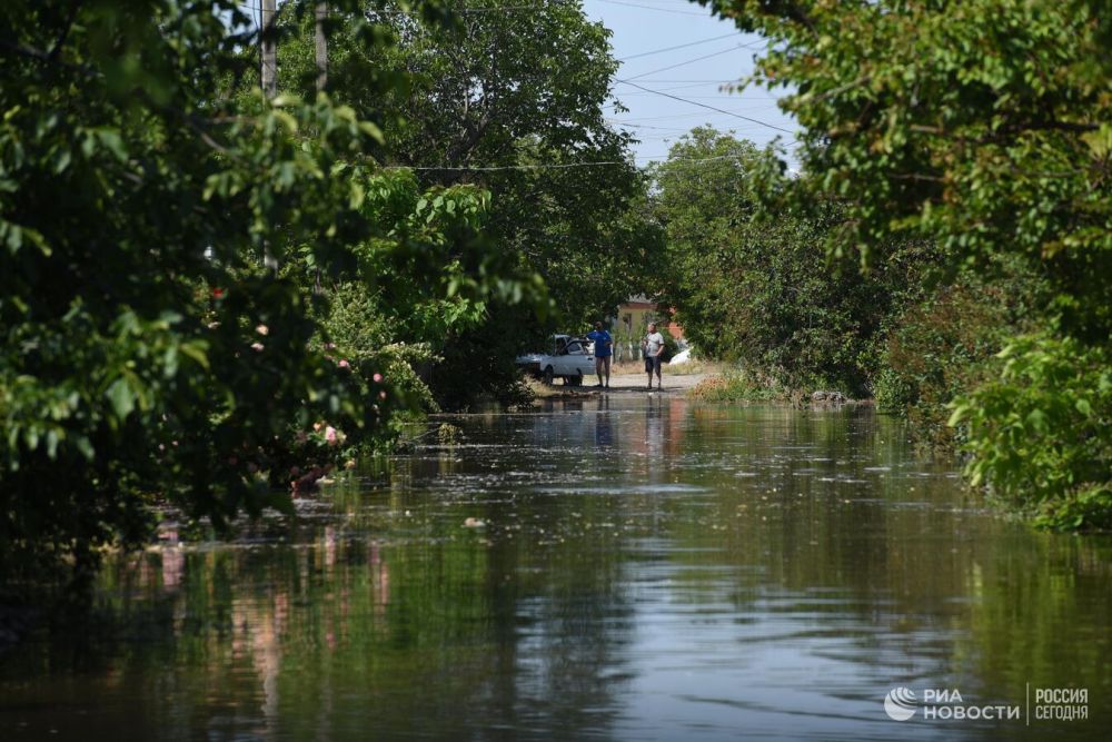 В Днепропетровской области начался мор рыбы, сообщили СМИ