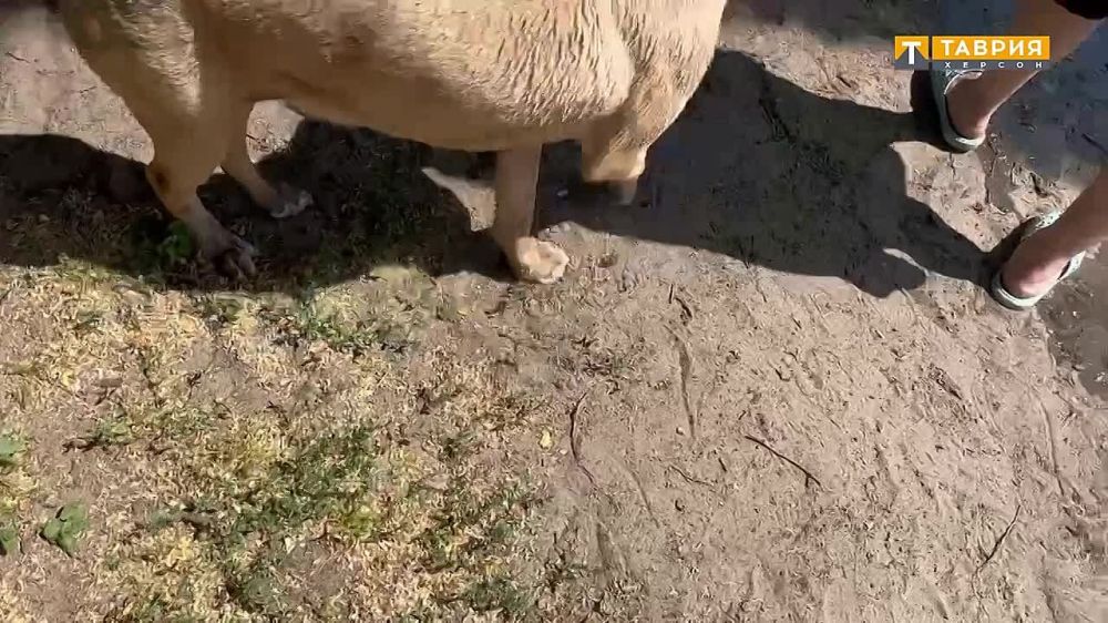 � ����� �������� ���� ������������ ������ � ���������