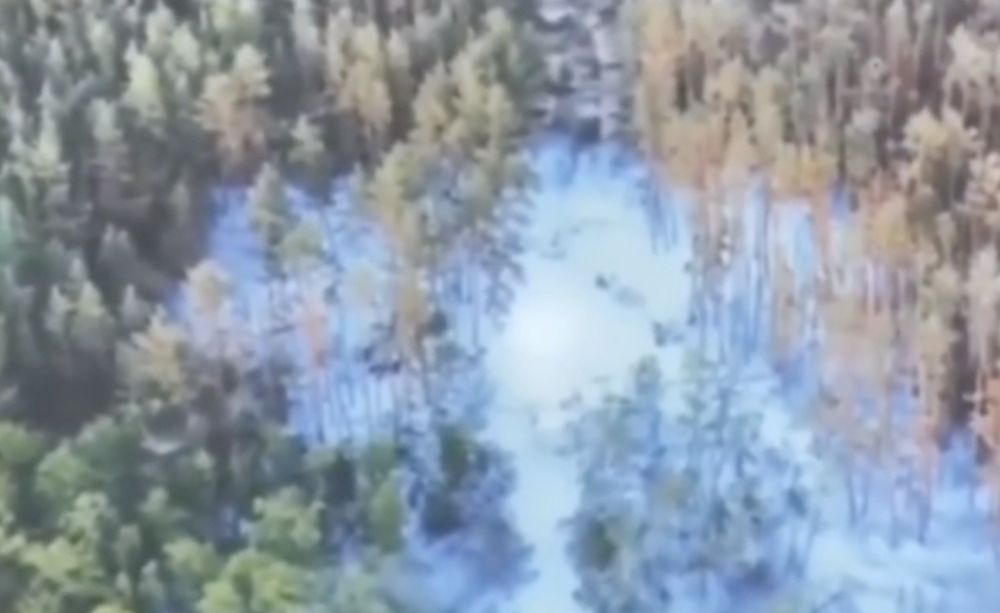 ������� ���������������� ������ �������������� �������� � ������