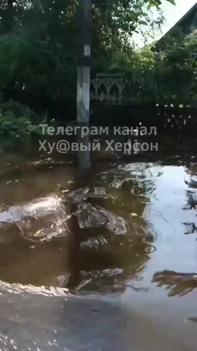 ������ ���������....