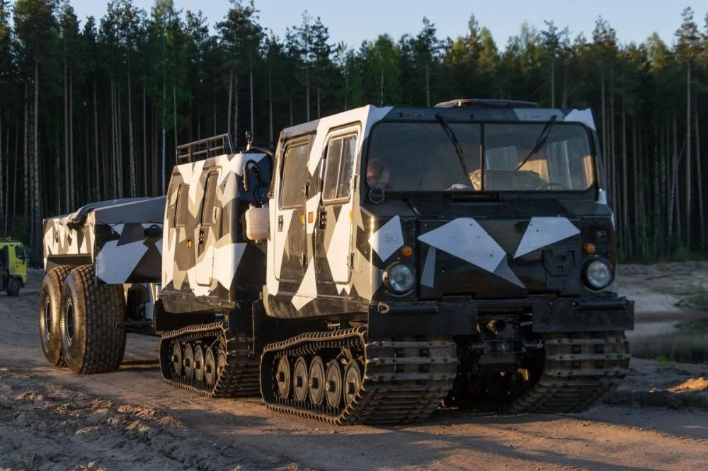 7 ���� �����. �������