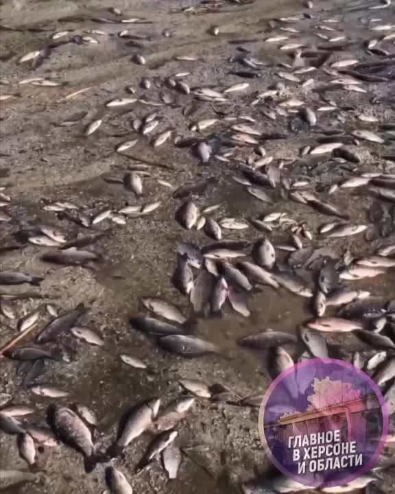 � �������������� ��������� ������ ���� ���������� ������� �������� ��� ����