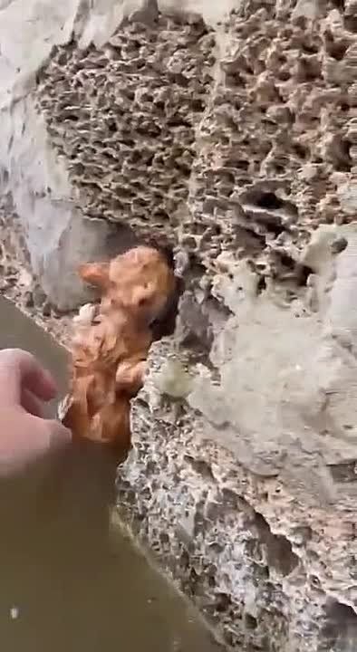 ����� ������� �� ����� �����