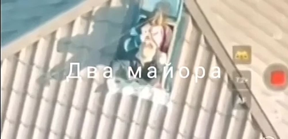 ����� �.�. ������. ���������� �������