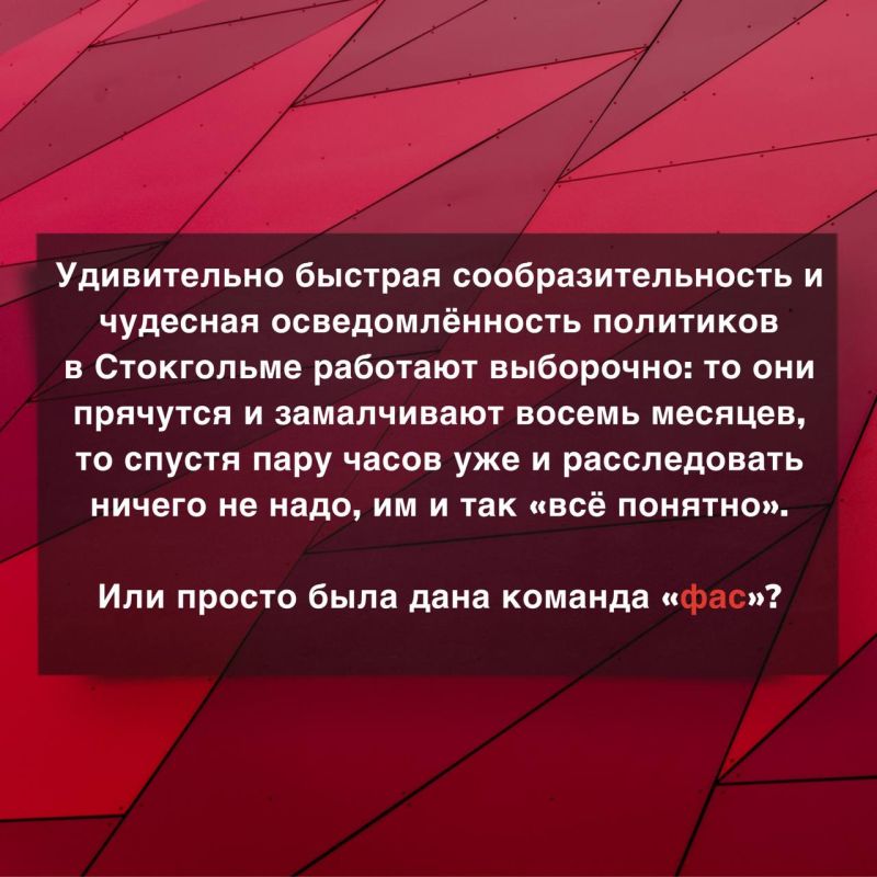 �� ������ � ����� � ������� ���������� ��������� ���, � �������� ���������� ��� ���� �� 100% �������: ��� �������, ������������, ������