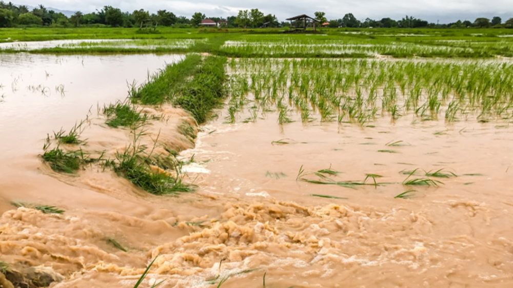 �� �������� ���� ��� ���: ������ � ��������� ��� �������� �������� ������