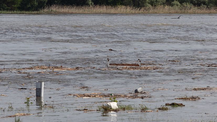 ����� ������: ����� �������� � ���������� ������� ���������� ����� �� 80%