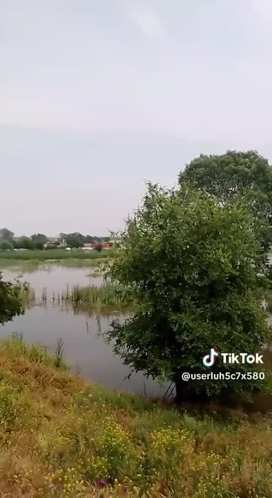 ����������� ���� �����. �� ����� ����� ����� ����������. ������ ����� ���� ��� �������, ���������� ��������� ����� ����� ��� �������� ������