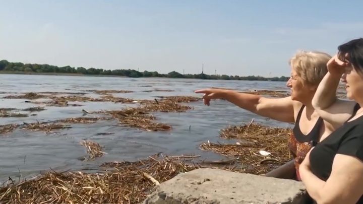 ������ �������� ��������� ��� ���� ��� ���� ��������