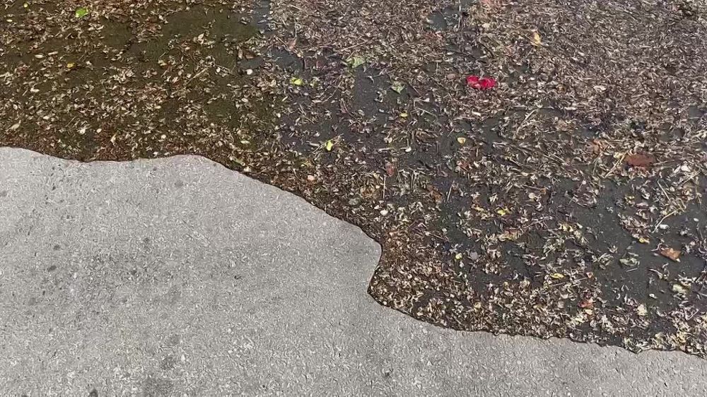 � ����� ����� �������� ���� ���������� ���������