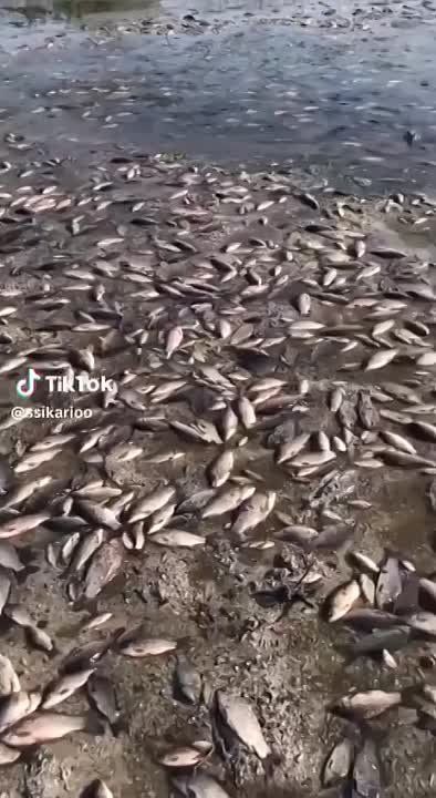 ���� ����: �� ���������� ������� �������� �������: