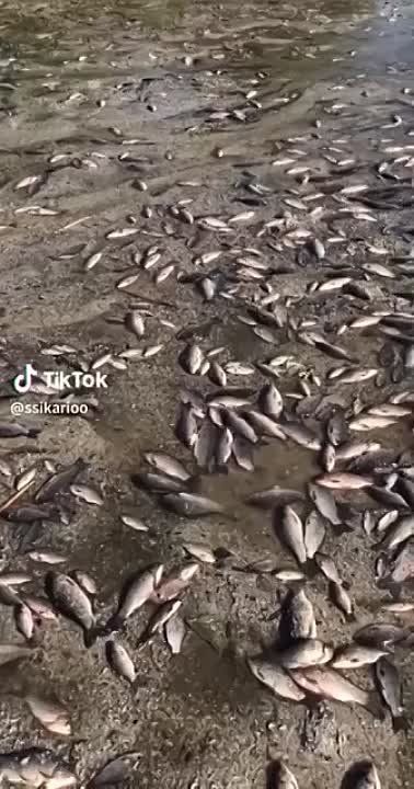 ����������� ������������� ���������� ����� "�������" ��������� ��� ��� ���������� ��������