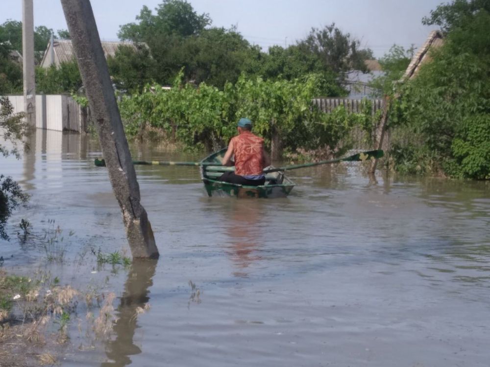 ���������� ���, ������������ ����� � ����� ������� � ���� ����������� ������������ ������ � ���� ����������� ����� � ���������� ���� �������� 17 �������