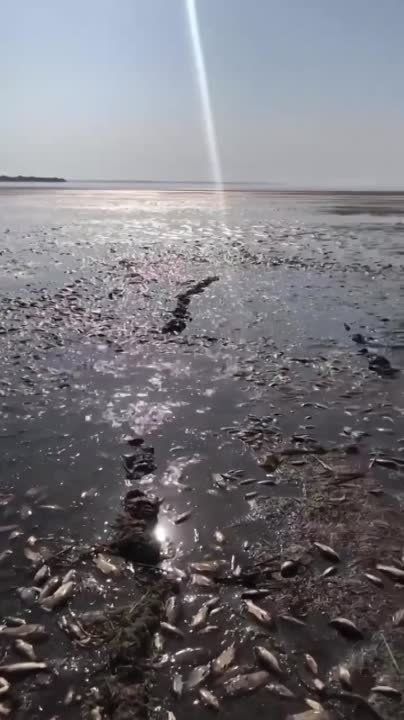 � ��������� ���� � ������� ��������� ��� ������� ����, ����� �������� ������� ����, ������ ������������ ������������� ���������� �������