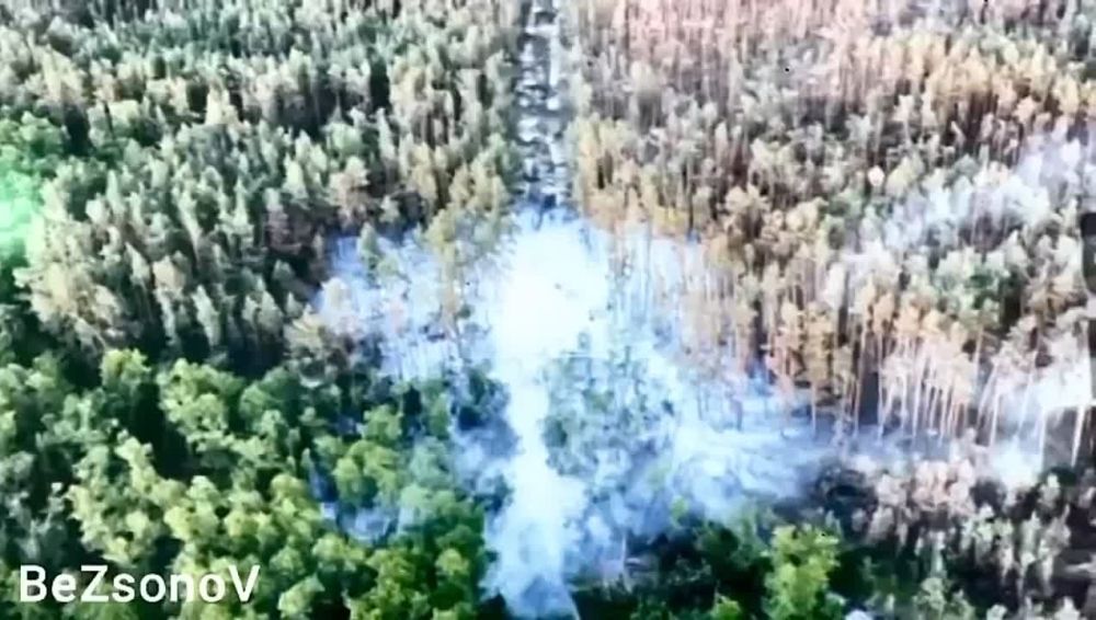 ���� ��������: ������ �� �������������� ��� ���������: ������ ����� ���� �����������