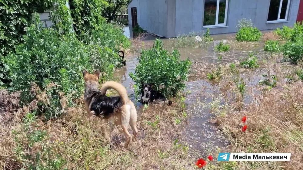 ��������� ���������: ������ � ������������� ������� ��������� ��� ������������