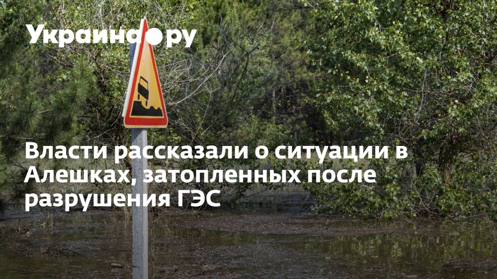 Власти рассказали о ситуации в Алешках, затопленных после разрушения ГЭС