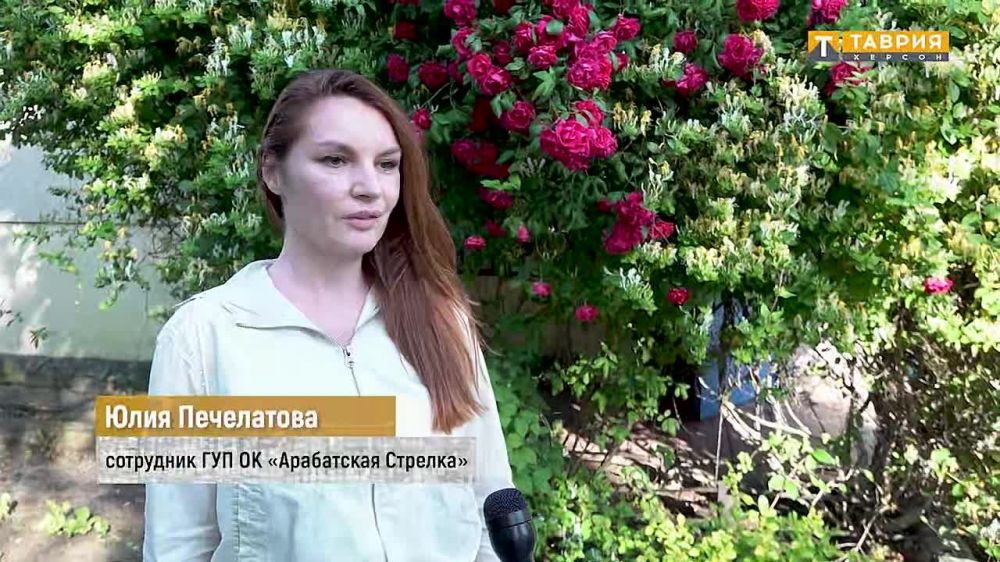 � ���� ������������ ����������� ��������� ������� ���������� ����������, � ��� ��������� ���������� �� 300 �������