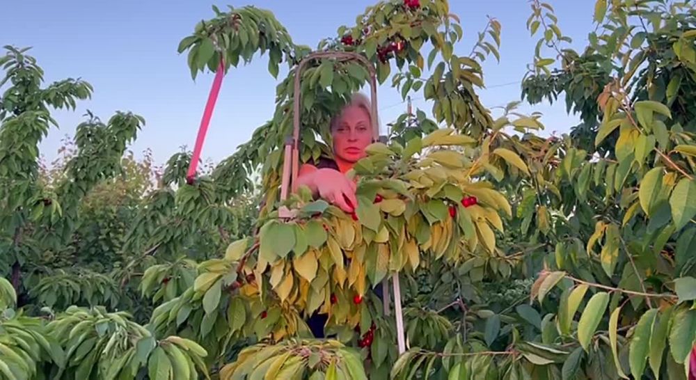 ����� ��������: ������ �� ��������� ���. �������� �����