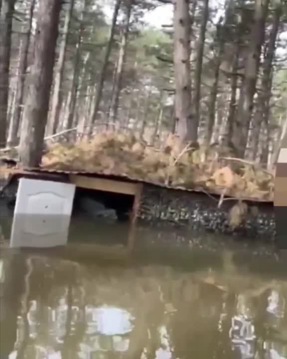 ������� ���������, � �� ������� � ���� ����� ������� ����������� � ������ ������� �� ���������� �����������