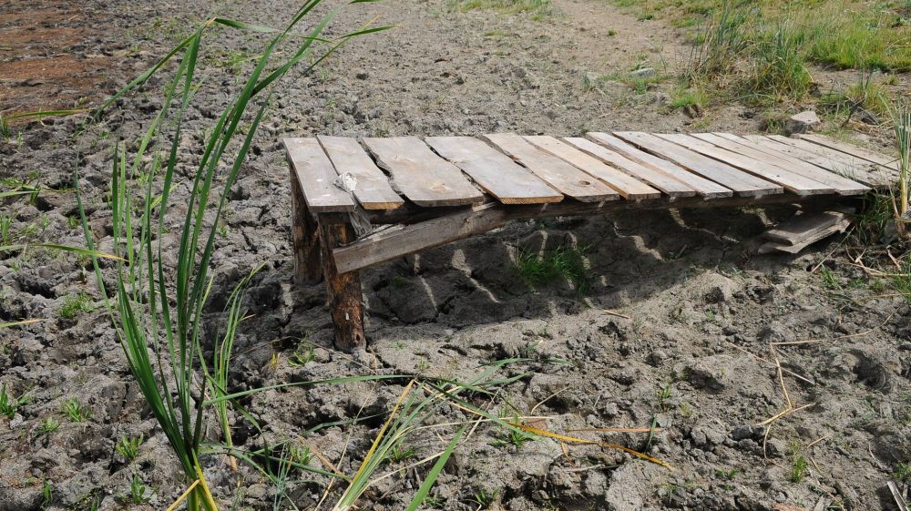 ������� ������� ���������, ����� ������� �������� ����� � ���, ����� ���������� ��������� �������������