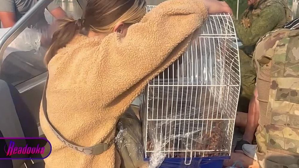 ���� � ������������ ����� ������ ����� � ������������ � �������� �������� �� ������ � ��� � ���, ��� ��������, ���������� ������ ��������� � ����� �������