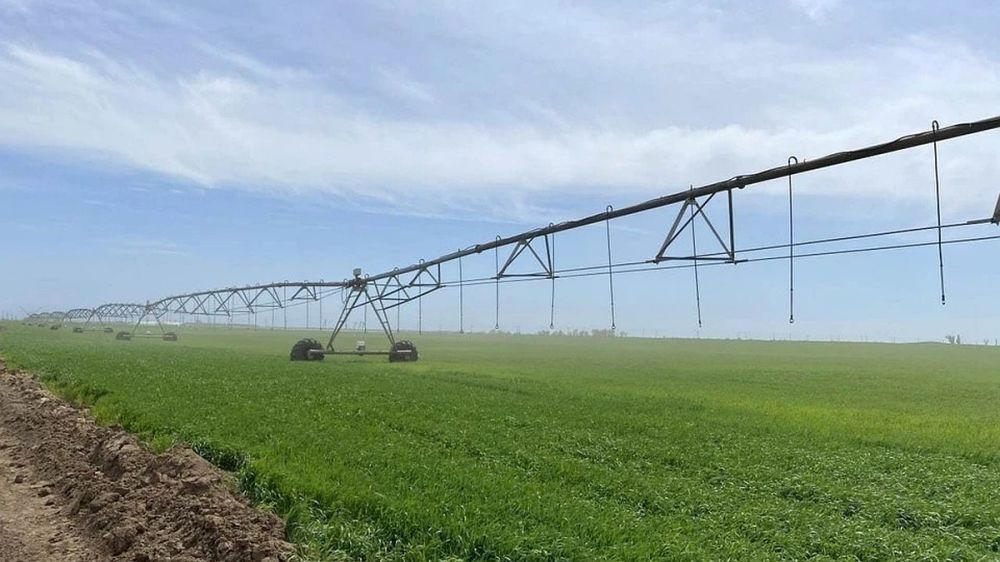 ������ ����� ������������ ����� ������������� ������������, �������������� �� ���� ������-��������� ������