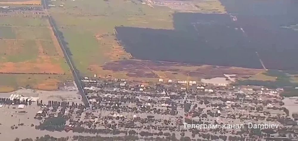 ������ �������: ��� � ������� ����������� ������� ��������� ��� � ����������� ���������� ���� �� �������