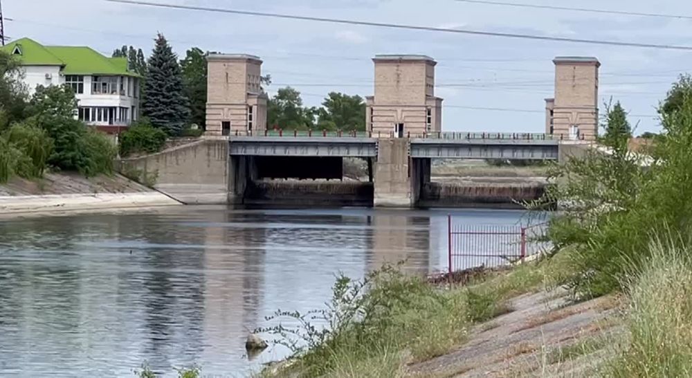 ����� ��������: �� �������� ������� ������-��������� ������ ������� �����