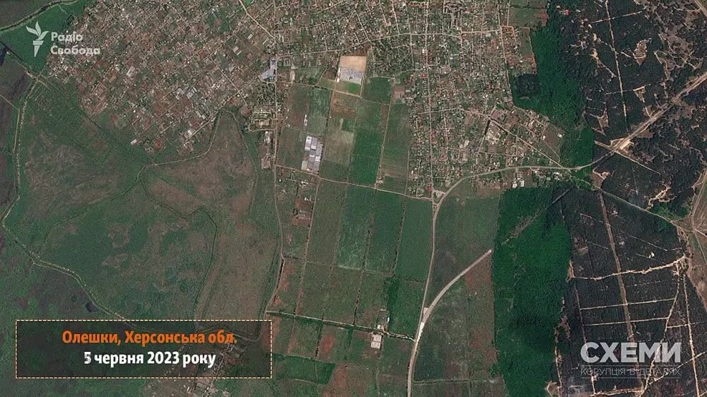 ���������� ������ ������ ������� (���, ����������� ������� ���������), ������������� �������������� ���, ������� �������� ���������� ���������� ���������� ����� ������� ��������� ���