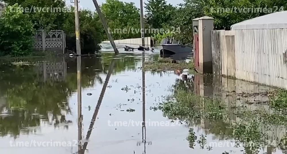 ������ ��� ��� �� �����, ������ �� ���������: ��� ��� ����������� ����������� ������� �� ��������� ���