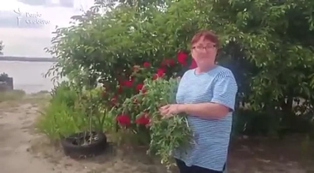 � ��������� ������������ ����������� ������� ����, �������� ������� ������