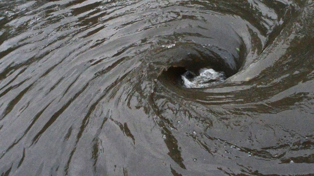 ��������� ��������� ����� ������. ������� ������� � ���, ��� ��� ������������� ����������� ��������� ���