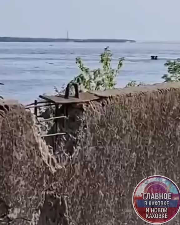 ���� ������� �������, ��� 41 ��������� ����� ���������� ��������� ��� � ������� �������� �������� � ����� �������� Live