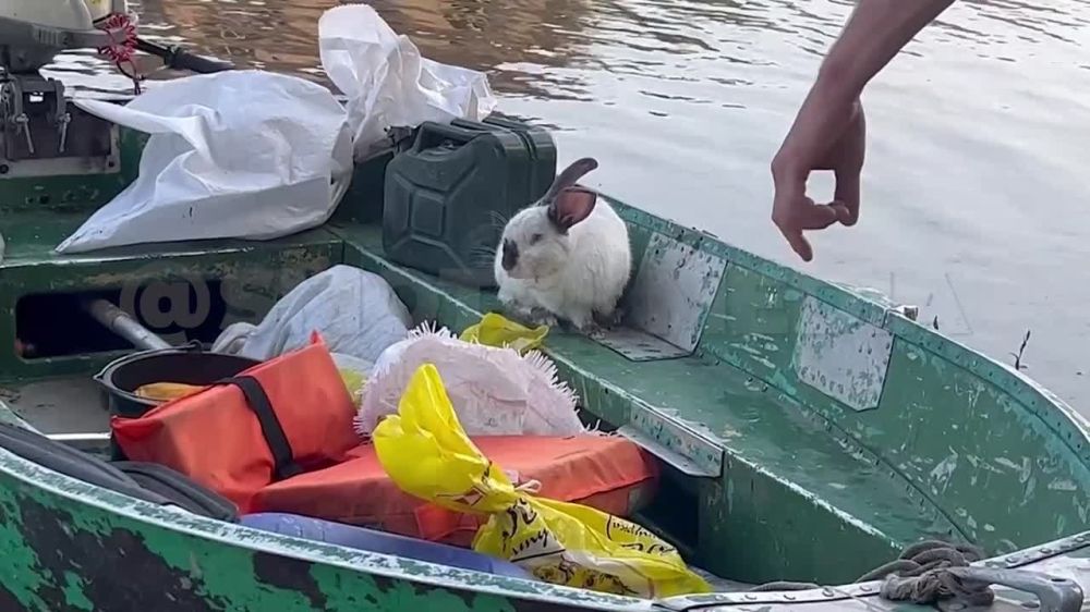 ������� ������� ���������� �� ����������� ����� ��� ��������� ����� ���