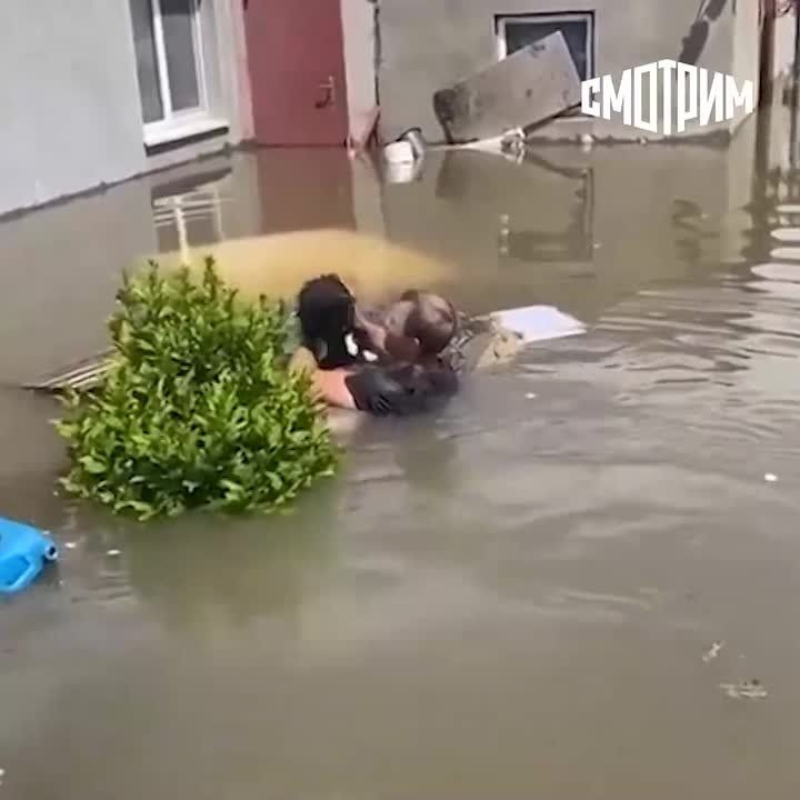 � �������� ������������ ������������ ����� �������� ������ �� ������������ ����� � ���������� �������