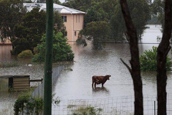 ������ �� ������� ��������, ��������� ��� ����� ����� ���������� ��������� ���, �������