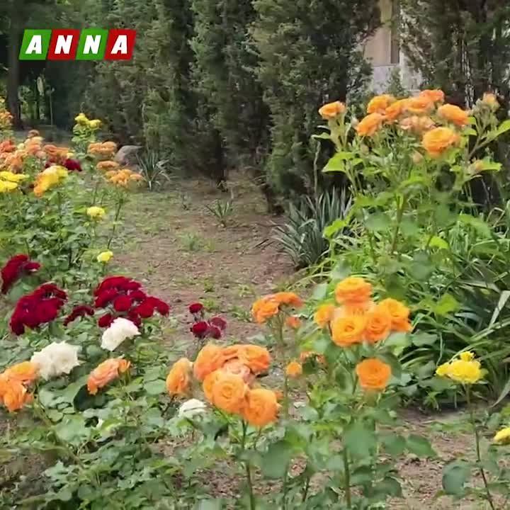 ����������� ����������� ����������� ���������� ������� �������� ������ ������� ������ ���������� ���������� ������������ �� ����������