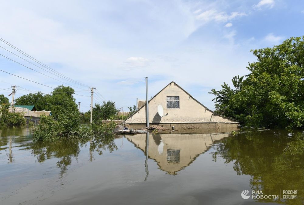 � ����������� ���������� ���������� ������� ������������ ���� ����� �������