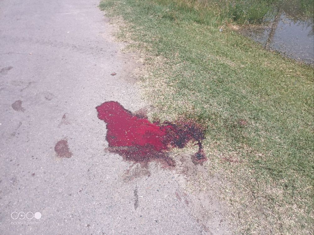 ��� �������� ������ ��������� ����������� ��� � ����� �������� ������� ��� ��������, � ��� ����� 33-������ ���������� ������� � ������������� ���������� �������