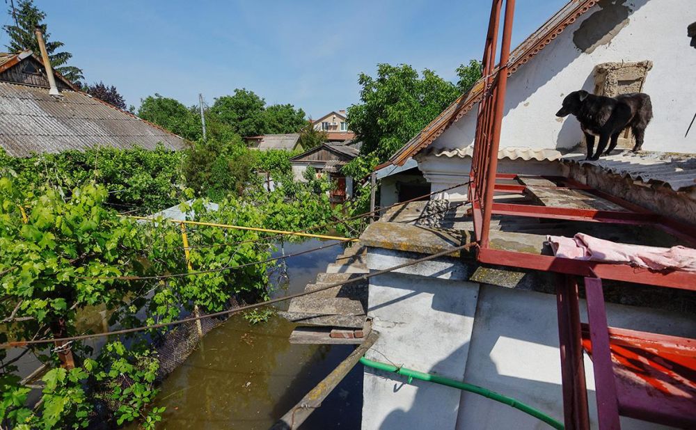 ����� ���� ��������� � ������� ������ � ����� ��������, ���� ��������� � ���� ������� ������, ���� ��������� ������ ������ ����� ������� �������� �� ���������, ���������� ��� ������ ���������� ������� � �� ������������ � ������ ������ ����� ����������