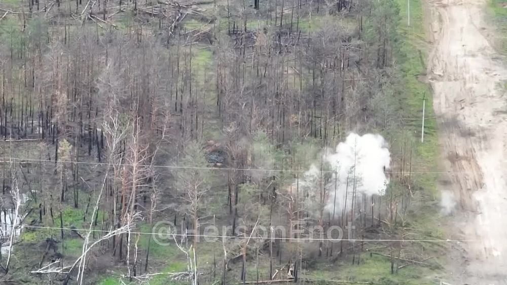 ���� �� �������: ��� ������� ��������� ������ � ��������� ����, ���������� ������ ��������