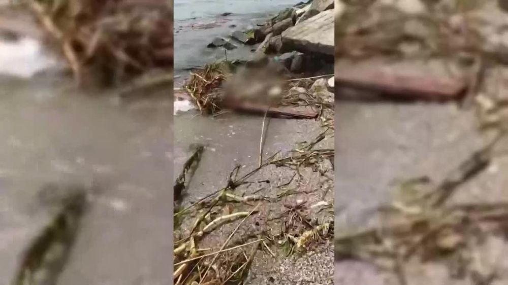 � ������ �� ���� ������ ���������� �������� �� ���������� �������