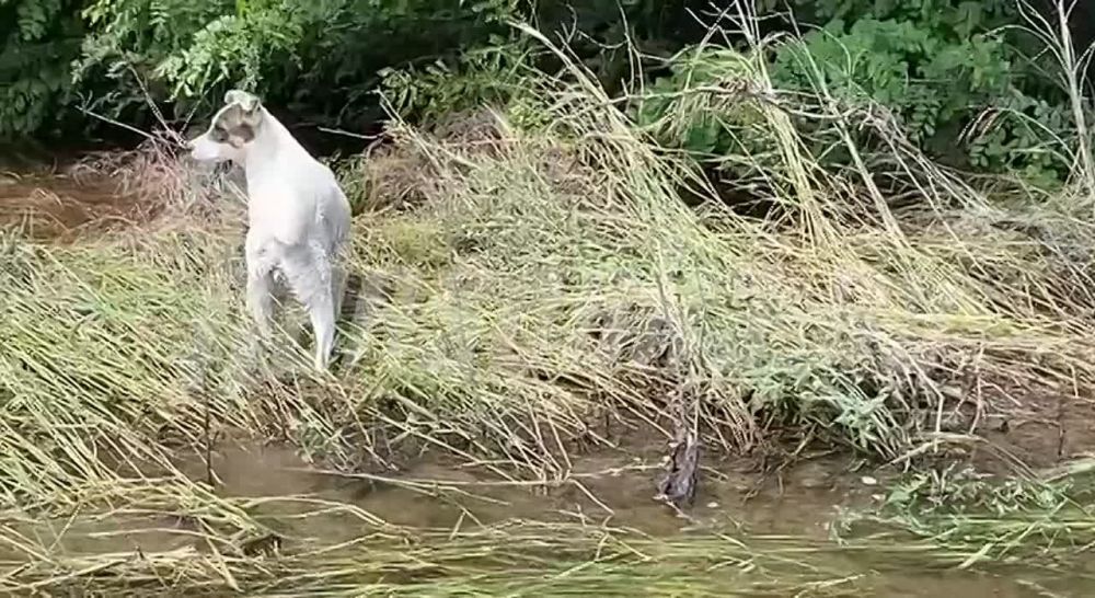 �������� ����� �� ������ �������� ��������� ���, �� � ������� ����� ��������